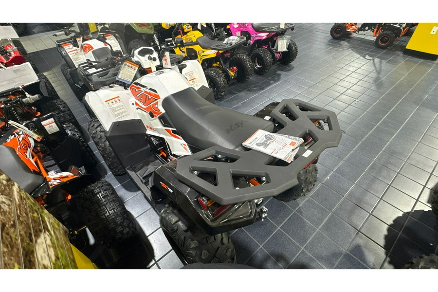 2025 Kayo BULL 300 EFI