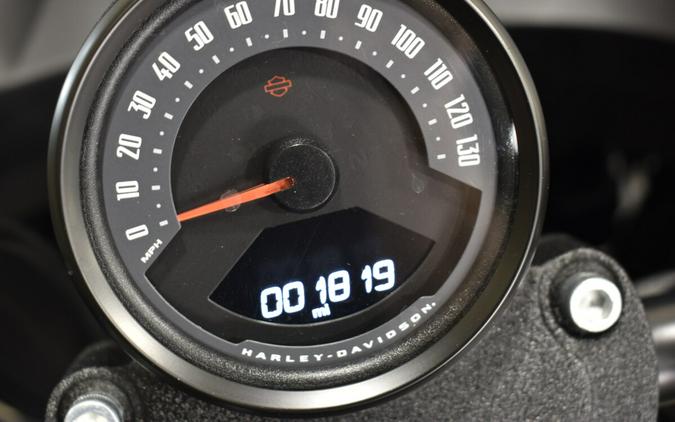 2025 Harley-Davidson Low Rider ST