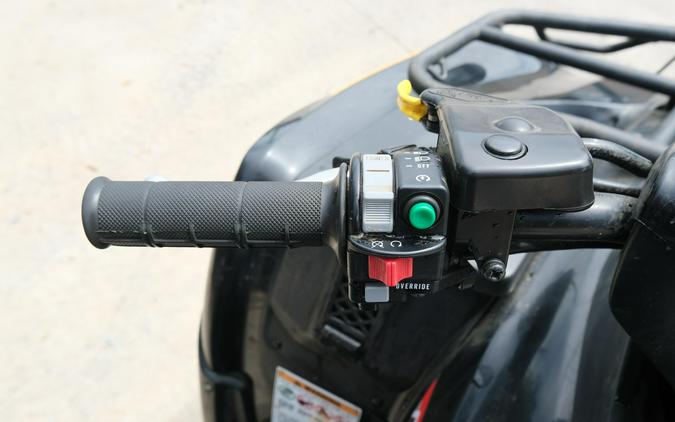 2023 KAWASAKI BRUTE FORCE 750 4X4I EPS
