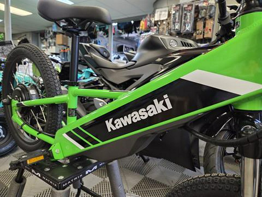 2025 Kawasaki Elektrode 20