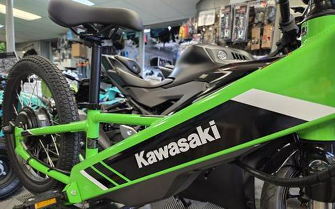 2025 Kawasaki Elektrode 20