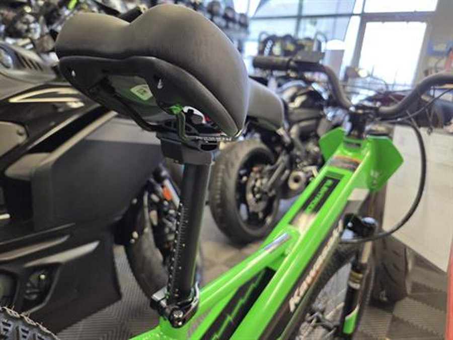 2025 Kawasaki Elektrode 20