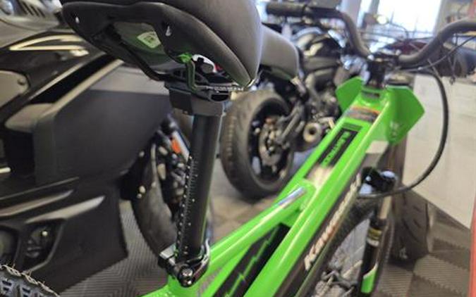 2025 Kawasaki Elektrode 20