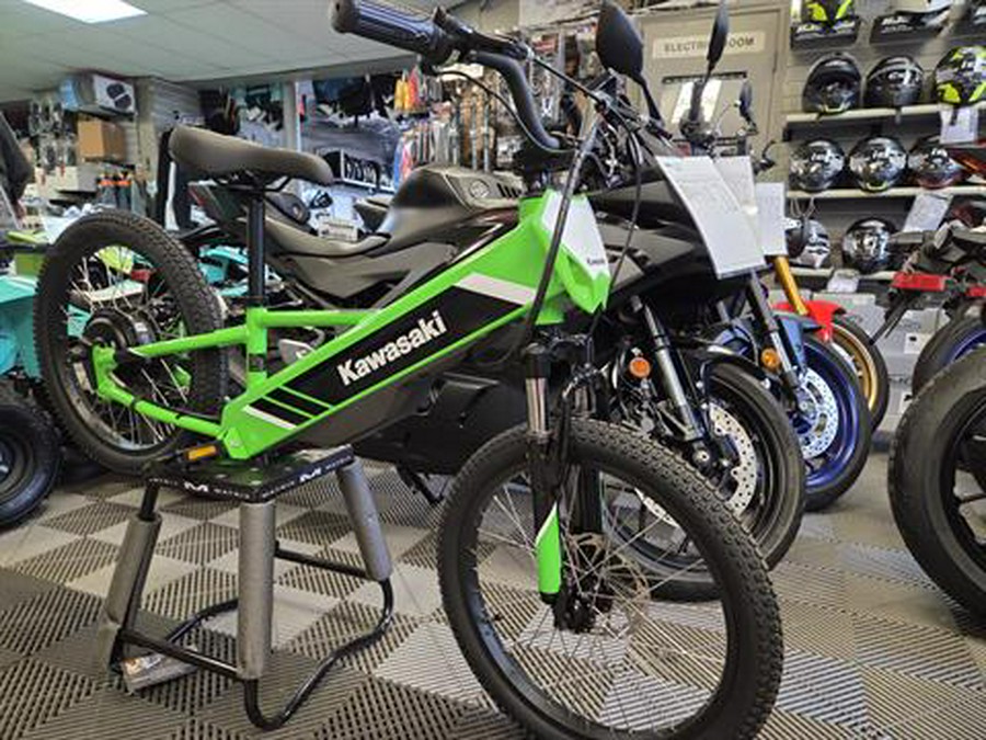 2025 Kawasaki Elektrode 20