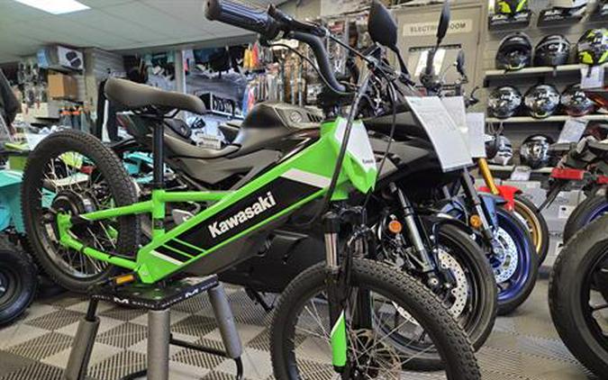 2025 Kawasaki Elektrode 20
