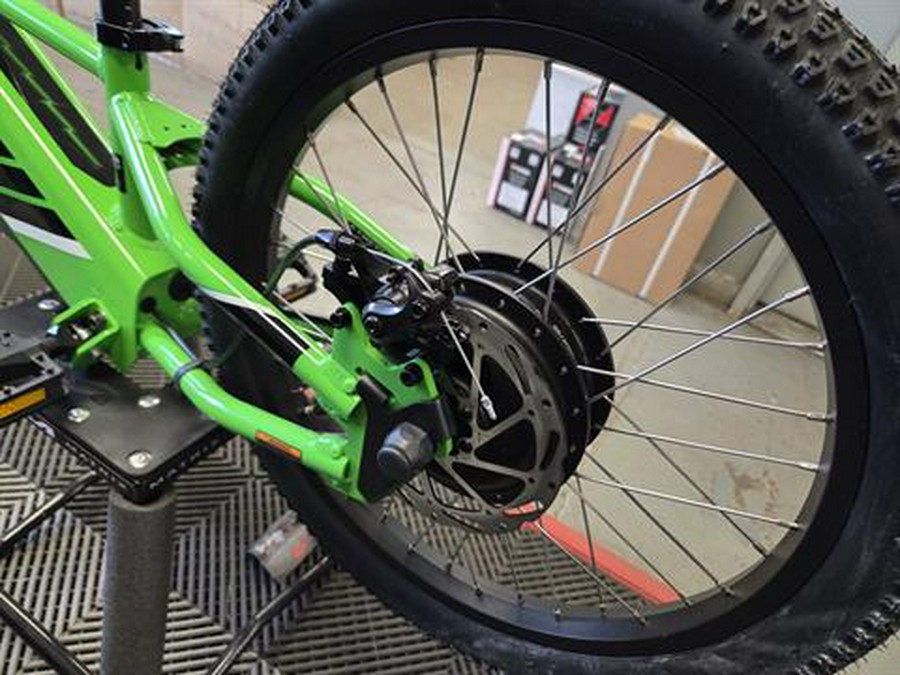 2025 Kawasaki Elektrode 20