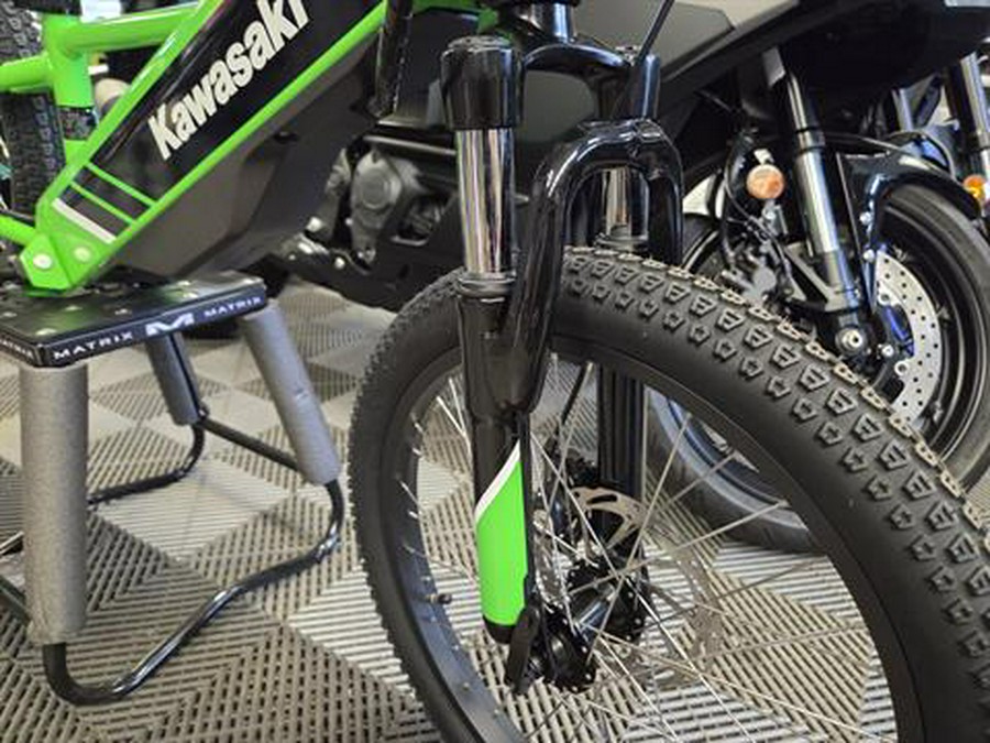 2025 Kawasaki Elektrode 20