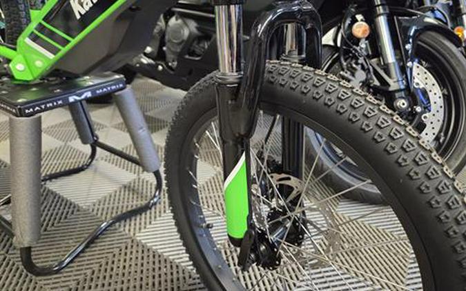 2025 Kawasaki Elektrode 20