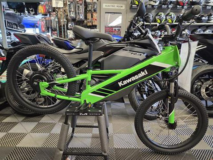 2025 Kawasaki Elektrode 20