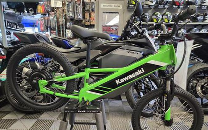 2025 Kawasaki Elektrode 20