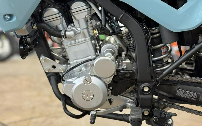 2024 Kawasaki KLX300 and KLX300SM First Look [8 Fast Facts]