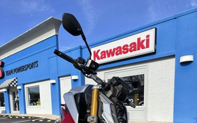 2024 Suzuki GSX-S 1000