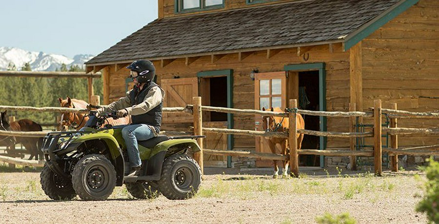 2016 Honda FourTrax Rincon® Base