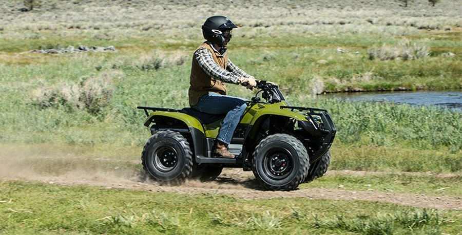 2016 Honda FourTrax Rincon® Base