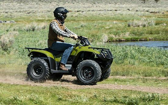 2016 Honda FourTrax Rincon® Base