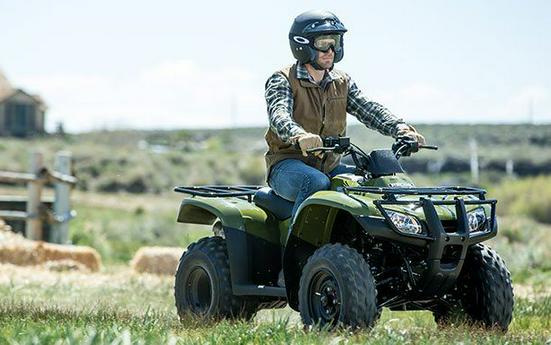 2016 Honda FourTrax Rincon® Base