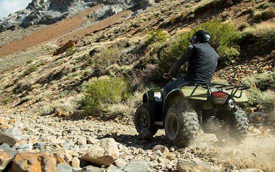 2016 Honda FourTrax Rincon® Base