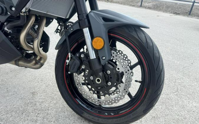 2024 Kawasaki Versys® 650 LT