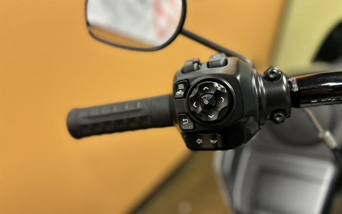 FLTRX 2025 Road Glide™