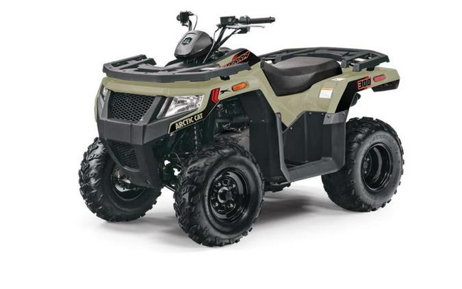 2022 Arctic Cat® Alterra 300