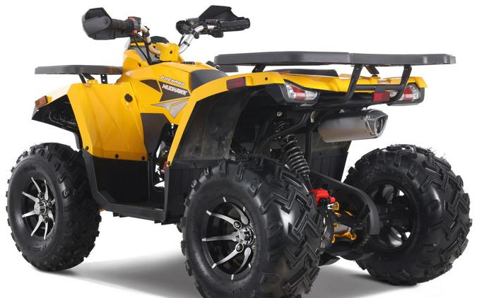 2026 Denago Powersports Mudhawk 200FI
