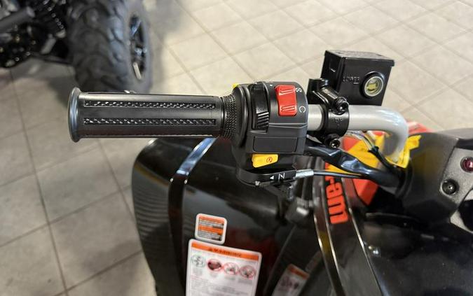 2026 Can-Am® DS 250