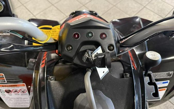 2026 Can-Am® DS 250