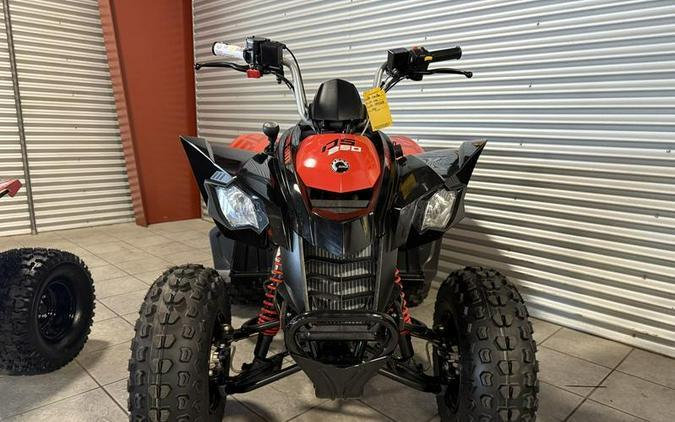 2026 Can-Am® DS 250