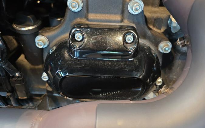 FLHXST 2023 Street Glide® ST