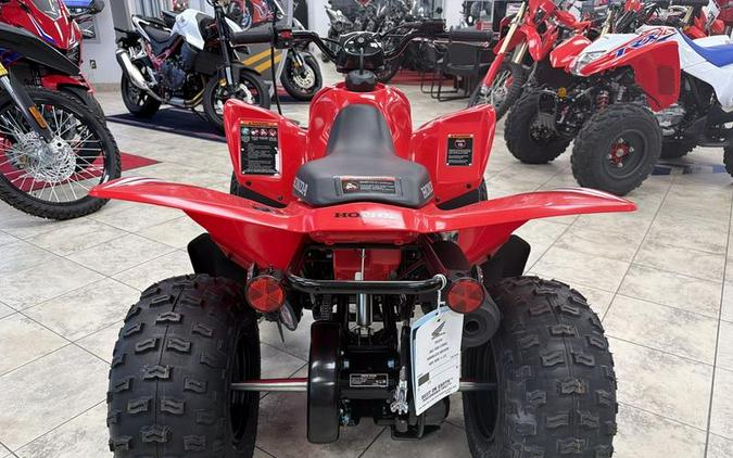 2026 Honda® TRX90X