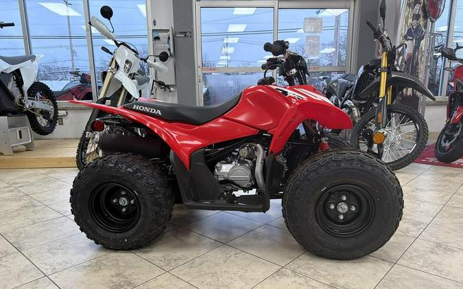 2026 Honda® TRX90X
