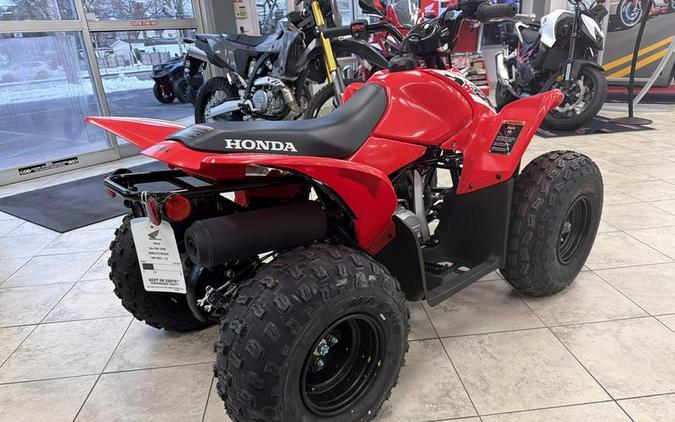 2026 Honda® TRX90X