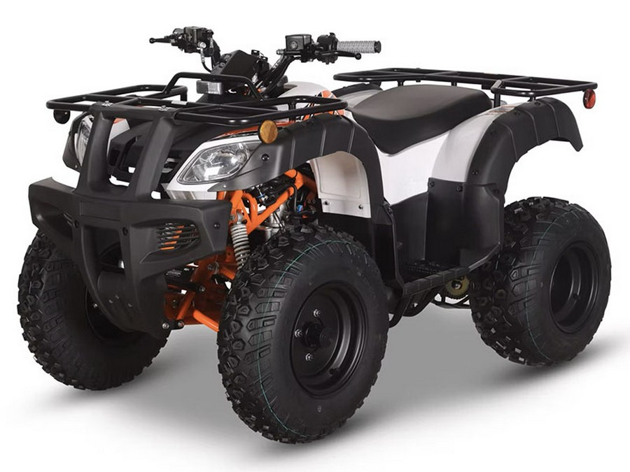 2025 Kayo Bull 150 EFI