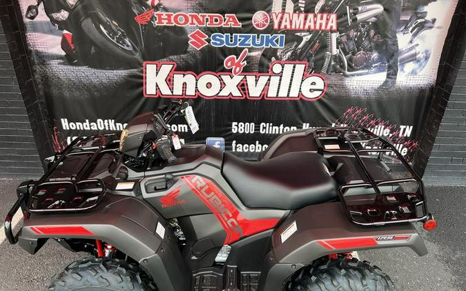 2024 Honda® FourTrax Foreman Rubicon 4x4 Automatic DCT EPS Deluxe