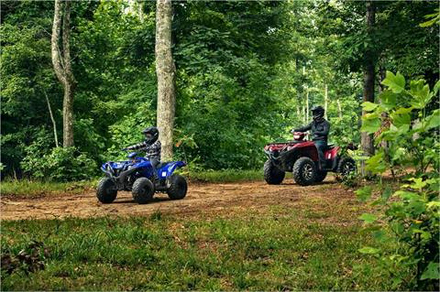 2019 Yamaha Grizzly 90