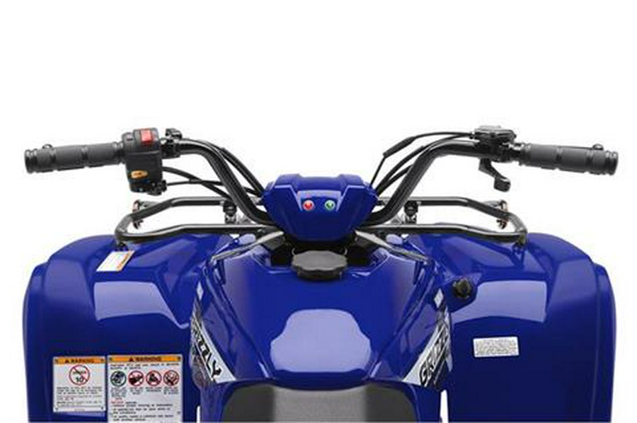 2019 Yamaha Grizzly 90