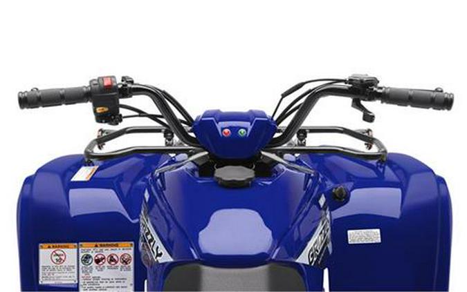 2019 Yamaha Grizzly 90