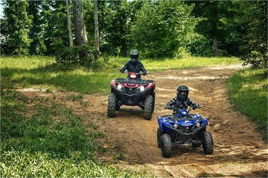 2019 Yamaha Grizzly 90