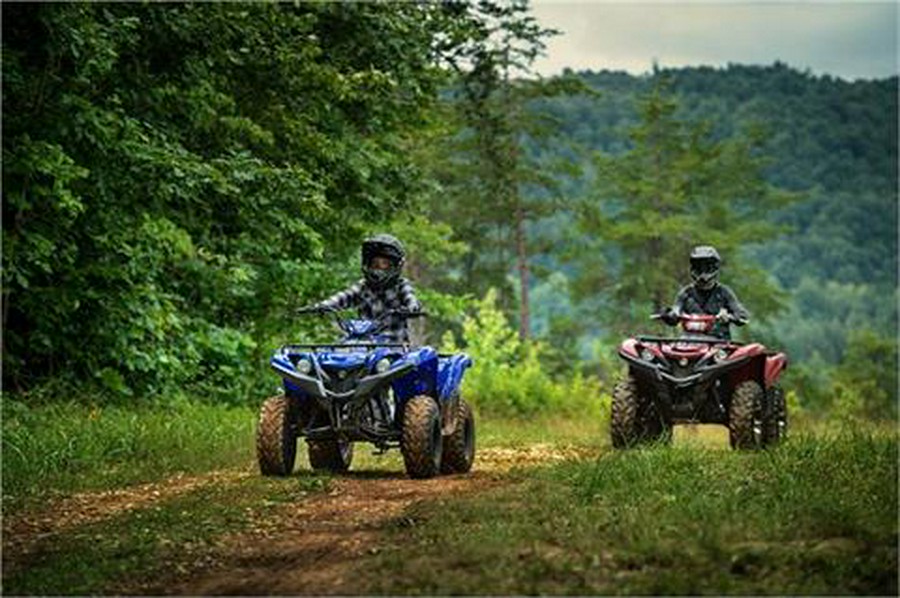 2019 Yamaha Grizzly 90