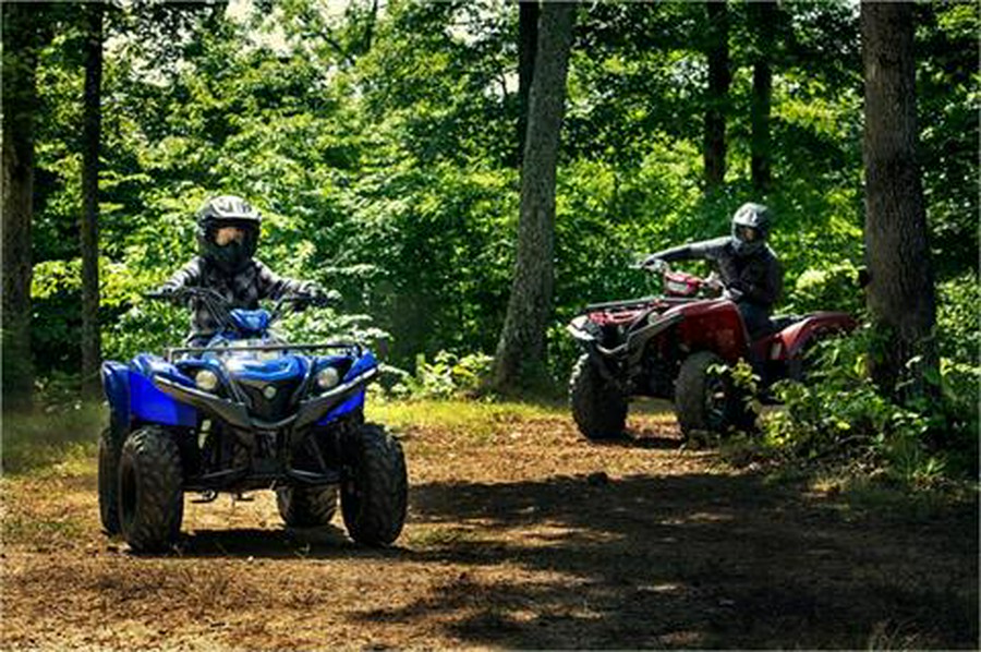 2019 Yamaha Grizzly 90