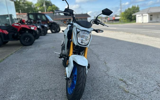 2026 Z125 PRO - Kawasaki