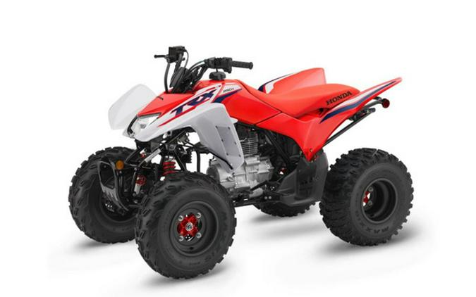 2023 Honda TRX250X