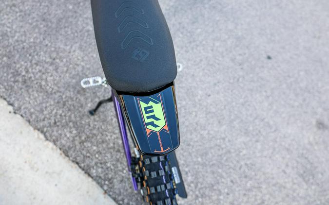 2026 SURRON LIGHT BEE X