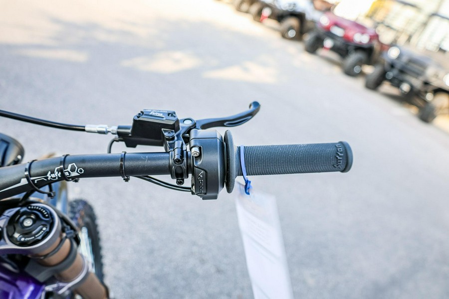 2026 SURRON LIGHT BEE X