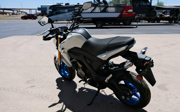 2026 KAWASAKI Z125 PRO