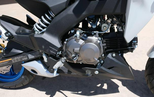 2026 KAWASAKI Z125 PRO