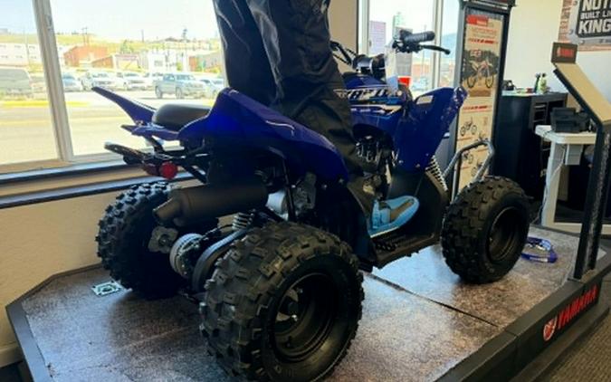 2026 Yamaha Raptor 110
