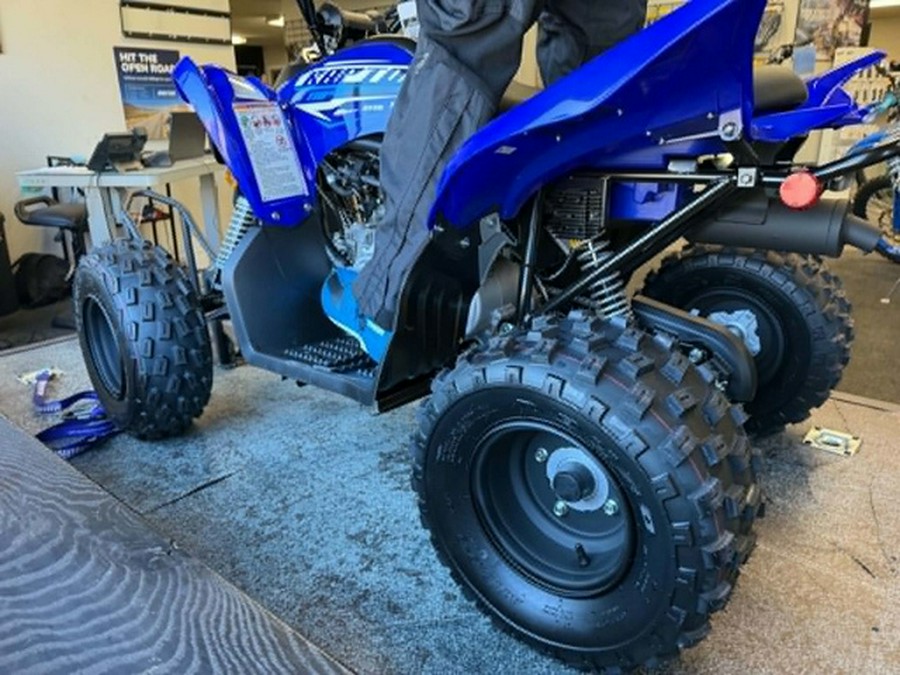 2026 Yamaha Raptor 110