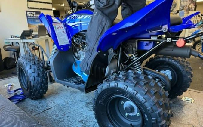 2026 Yamaha Raptor 110