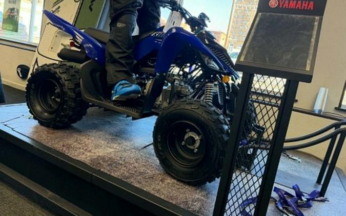 2026 Yamaha Raptor 110
